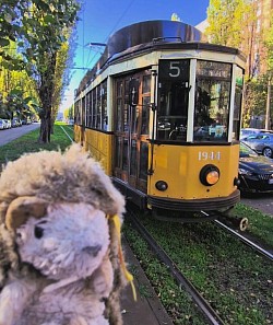 Milano Tram